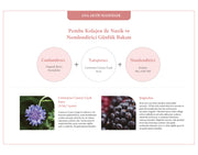 Collagen Deep Pore Gözenek Sıkılaştırıcı Sürülebilir Jel Maske - Korelume